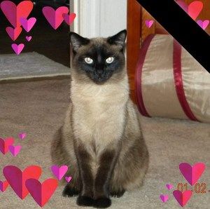 Meet your Posher, Greggand eden